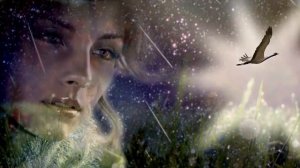 "ПОЛЮБИ МЕНЯ".... муз Д.ГАСИА... сл В.ГУРКОВ...исп Л.ИСТОМИНА...монт Л.Евдокимова