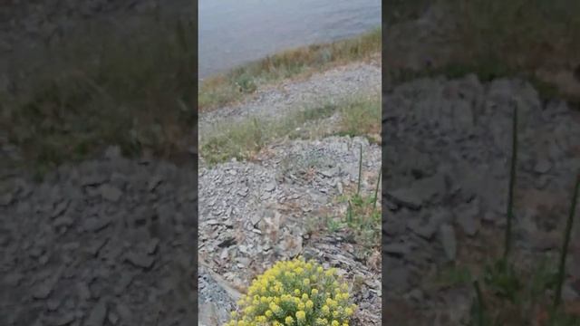 Утриш - заповедник в Кавказских горах (3) смотреть онлайн