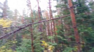 #2 | Нашёл конструкции ЙЕТИ | СНЕЖНЫЙ ЧЕЛОВЕК был здесь