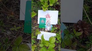 Благодарю Магазин «В Косом переулке» за новое приобретение!