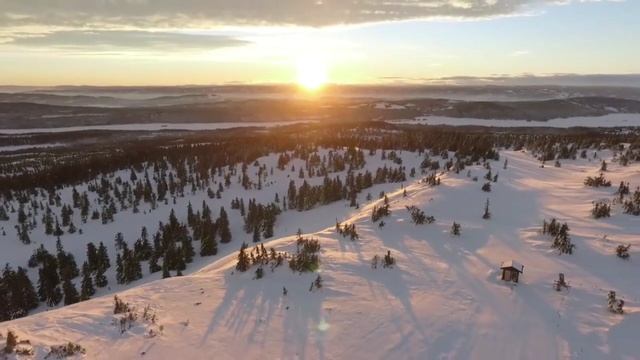  смотреть онлайн