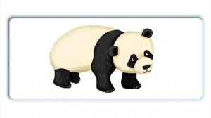 Oxford Phonics World 1/Pp