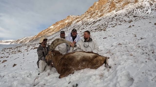 Охота на Памире. Часть 2. Памирский козерог. Hunt in Pamir. Part 2. Pamir Ibex. смотреть онлайн