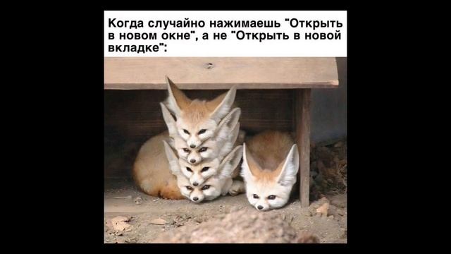 Сколько вам лет?