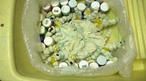 Серое худи + Белизна и Тай-дай со льдом