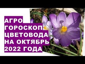 Агрогороскоп цветовода на октябрь 2022 года