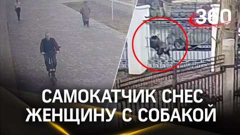 Видео: мужчина на самокате снёс женщину с собакой в Кирове