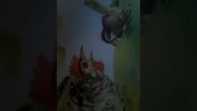 Сказка на ночь сама придумала! На ночь ! Мисс Альбина