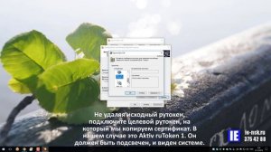 Копирование сертификата ЭЦП