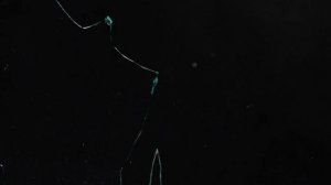 футаж разбитое стекло бесплатно , footage broken glass free