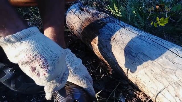 ПЕЧКА ЩЕПОЧНИЦА из консервной банки смотреть онлайн