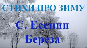 Стихотворения про зиму и Новый год. Есенин Зимний Береза