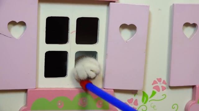 Смешно, КОТЕНОК БАНТИК ИГРАЕТ В ЗАМКЕ смешные коты и котята 2018 NEW family смотреть онлайн