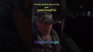 Лучшее Боевое Искусство, для САМОЗАЩИТЫ ? #панантукан #уличнаясамооборона #джиуджитсу #феникс #мд