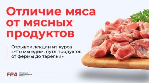 Отличие мяса от мясных продуктов