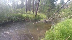 Ловля. Рыбалка на ХАРИУСА(зачетная речка в ТАЙГЕ ,ХАРИУС)