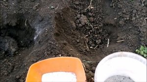 УДОБРЕНИЕ ДЛЯ  КАПУСТЫ.. ЧТО ДОБАВИТЬ В ЛУНКИ ПРИ ПОСАДКЕ
