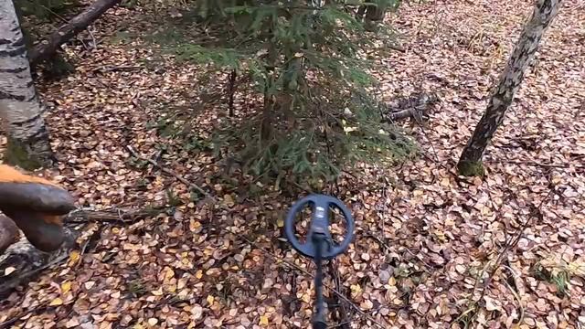 →ПОИСК МЕТАЛЛА В ГЛУХИХ ДЕБРЯХ ЛЕСА И СТАРЫХ ДОРОГ!!!☼☼☼