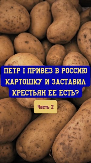 Петр I привез в Россию картошку и заставил крестьян ее есть? Часть 2