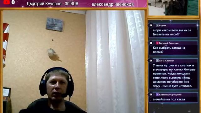 5000 подписчиков. смотреть онлайн