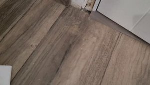 ... а вот что ВЫБРАЛ заказчик! Перепад пола в 2см, как сделать плинтус? Ошибки ремонта