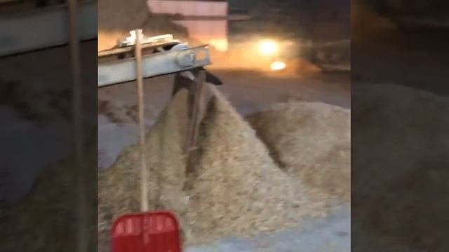 Работа шредера ,щепа для арболита ЭкоДревПродукт