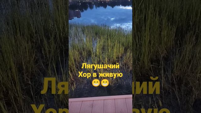 🤣👍 #humor #лягушачийхор лягушки #пруд #жаба #смешныевидео #природа #прогулка #лягушонок #лягушка смотреть онлайн