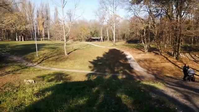 #чихуахуа 🐕на прогулке 🍁осень просто чудо😀🍂 смотреть онлайн