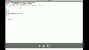 Python - randint