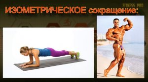 Виды мышечных сокращений / Мышечные сокращения