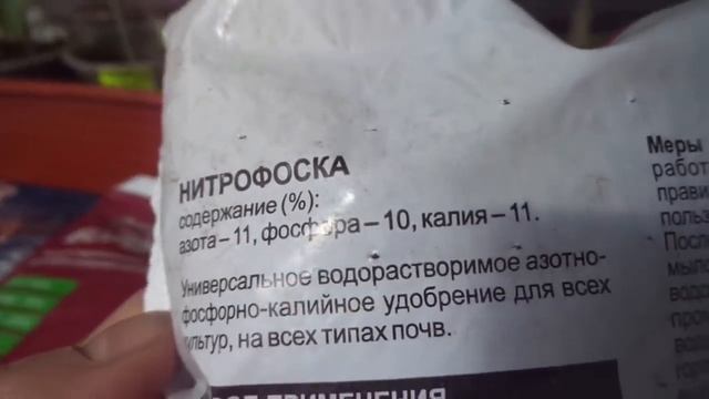 Первые подкормки томатов. Что нужно знать?