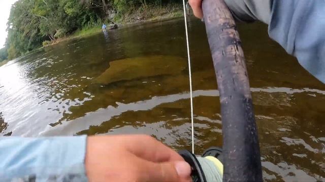 Fishing for BIG KING SALMON-(Salmon River, Pulaski NY)-2021