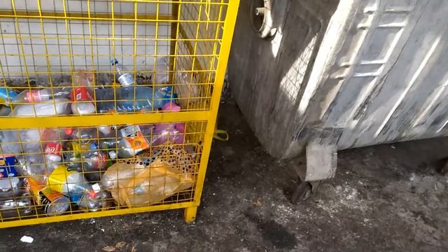 ПОИСК ЛАТУНИ В МУСОРНЫХ БАКАХ! Неожиданные находки в мусорном контейнере! Поиск акционных крышек!