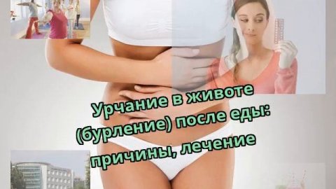 Урчание в животе (бурление) после еды: причины, лечение