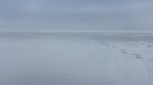 Хивус