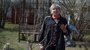 Почему не плодоносит Груша ? Советы По Уходу За Плодовым Деревом интернет магазин дача