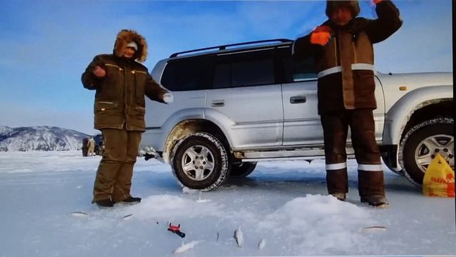 Крупный зубарь, ловля корюшки, Магадан, бухта Гертнера, 2023 год