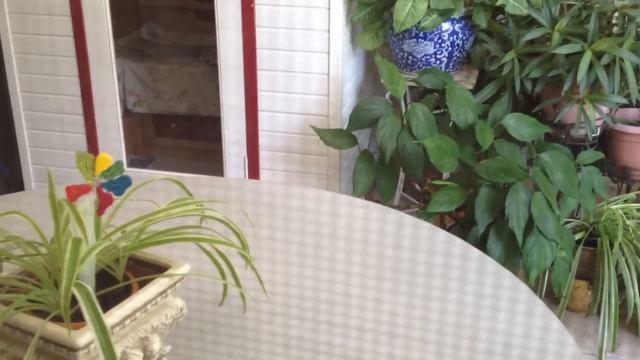 Песни Соловьиные FLORIDA USA ORLANDO смотреть онлайн