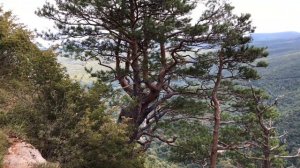 МЕЗМАЙ. ОРЛИНАЯ ПОЛКА. ПОХОД С ПАЛАТКАМИ. НАШИ ВЫХОДНЫЕ ЧАСТЬ 1