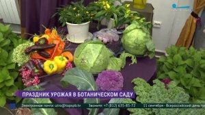 Выставка «Дары осеннего сада» в Ботаническом саду