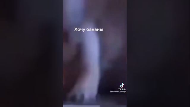 роберт муха 303 где МОИ ПОДПИСЧИКИ смотреть онлайн