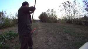 Лук из акации