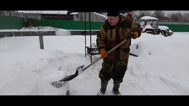 Прогулки с Кузей и Багирой. смотреть онлайн