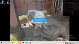 последнее видео
