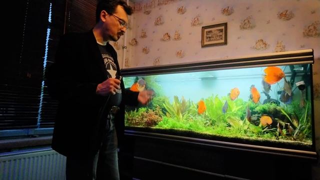 Шланг для "Аквариума мечты" : чистим с удовольствием!