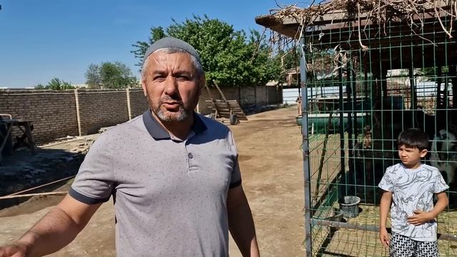 +998914032111 Гулаби, Биттал, Камори. Ашур Шаропов. Бухара. @FermerAE смотреть онлайн