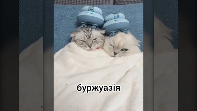 Пролетариат и буржуазия