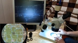 Оптические адаптеры масштабирования 1/3 (0.35х) и 1/2 (0.5х) к камере для микроскопа (тринокуляр).