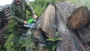 Мощная пила c 50см шиной. Бензопила REDVERG RD-GC62-20.