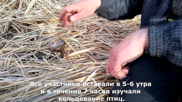 Заповедники и туризм: что происходит?